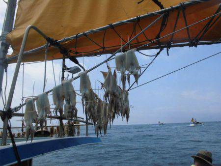 大進丸（愛知） 釣果