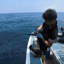 大進丸（愛知） 釣果