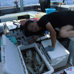 大進丸（愛知） 釣果