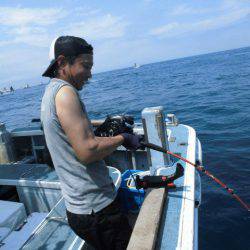 大進丸（愛知） 釣果