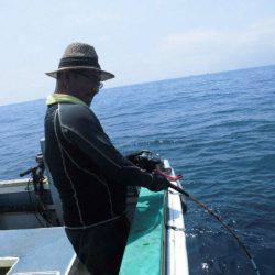 大進丸（愛知） 釣果