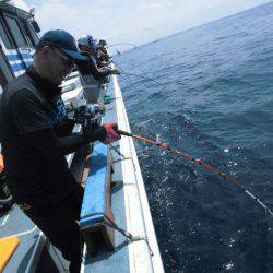 大進丸（愛知） 釣果