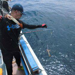 大進丸（愛知） 釣果