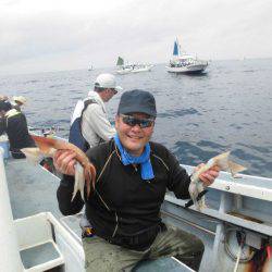 大進丸（愛知） 釣果
