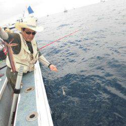 大進丸（愛知） 釣果