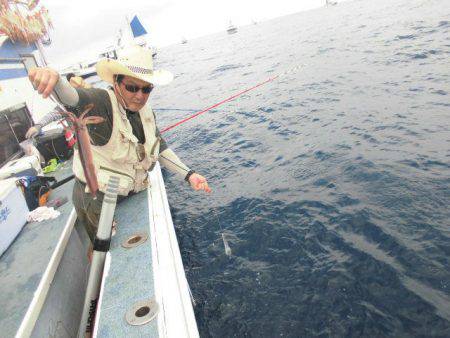 大進丸（愛知） 釣果