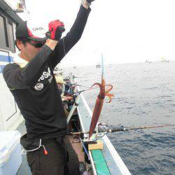 大進丸（愛知） 釣果