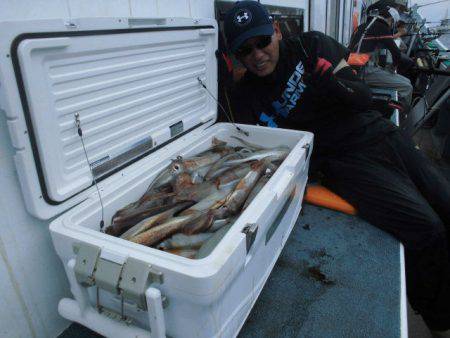 大進丸（愛知） 釣果