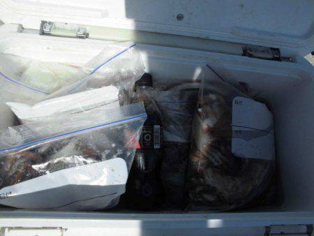 大進丸（愛知） 釣果