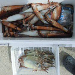 大進丸（愛知） 釣果