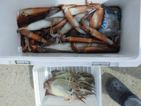 大進丸（愛知） 釣果