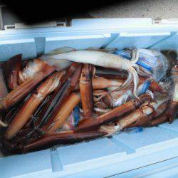 大進丸（愛知） 釣果