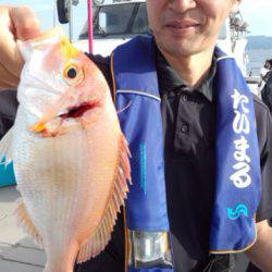 泰丸 釣果