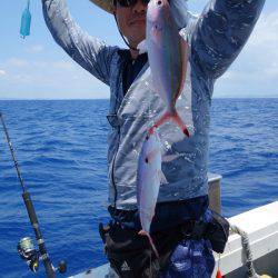 群星・むるぶし 釣果