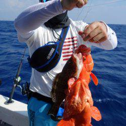 群星・むるぶし 釣果