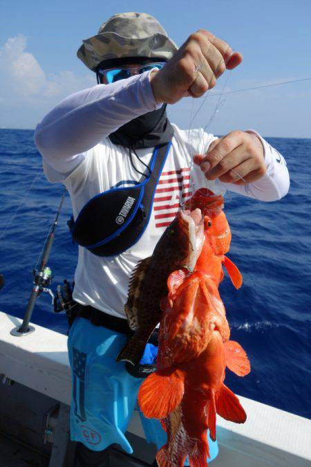 群星・むるぶし 釣果