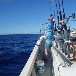 群星・むるぶし 釣果