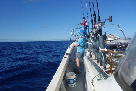 群星・むるぶし 釣果