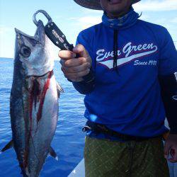 群星・むるぶし 釣果