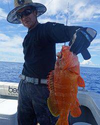 群星・むるぶし 釣果