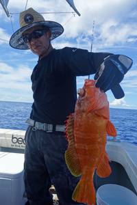 群星・むるぶし 釣果