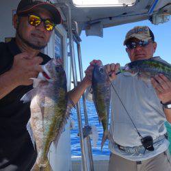 群星・むるぶし 釣果