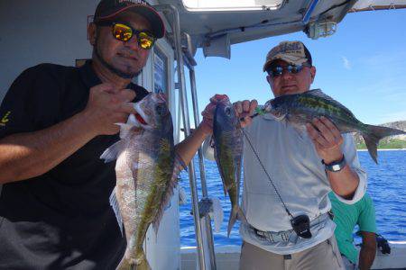 群星・むるぶし 釣果