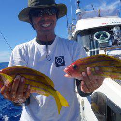 群星・むるぶし 釣果