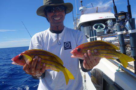 群星・むるぶし 釣果