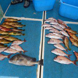 十八宝洋丸 釣果