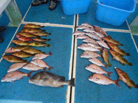 十八宝洋丸 釣果