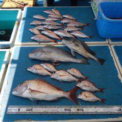 十八宝洋丸 釣果