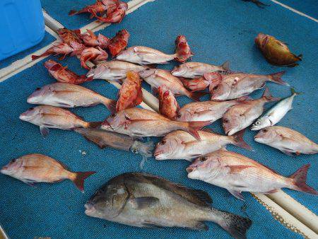 十八宝洋丸 釣果