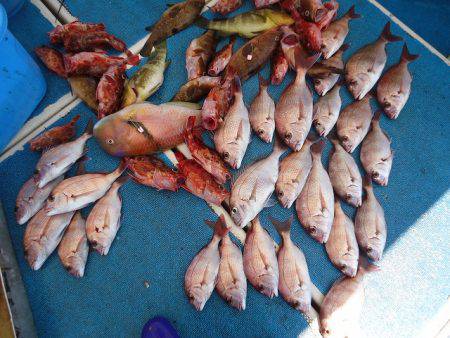 十八宝洋丸 釣果