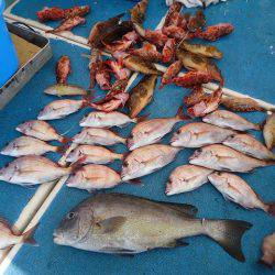 十八宝洋丸 釣果