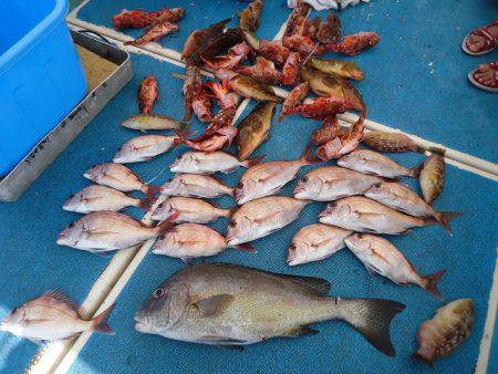 十八宝洋丸 釣果