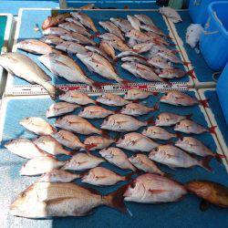 十八宝洋丸 釣果