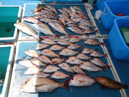 十八宝洋丸 釣果