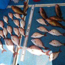 十八宝洋丸 釣果