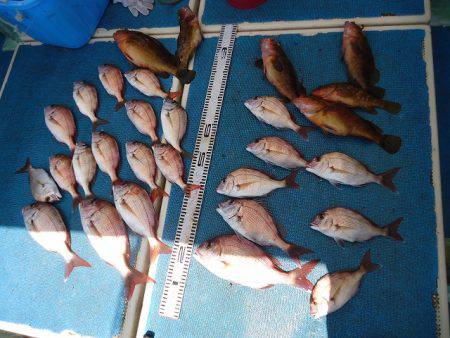 十八宝洋丸 釣果