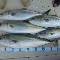 HARUKA丸 はるかまる 釣果