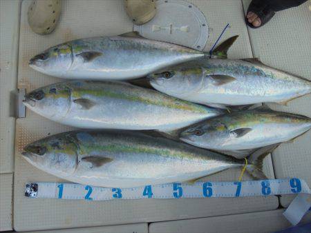 HARUKA丸 はるかまる 釣果