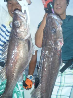凪紗丸 釣果