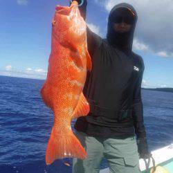 ローカルフィッシング 西表 マリンボックス 釣果