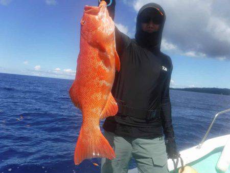 ローカルフィッシング 西表 マリンボックス 釣果