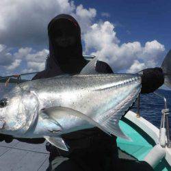 ローカルフィッシング 西表 マリンボックス 釣果