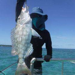 ローカルフィッシング 西表 マリンボックス 釣果