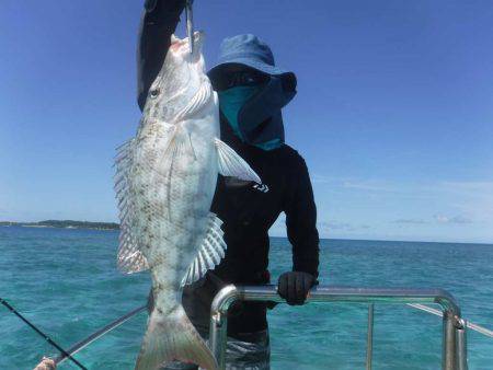 ローカルフィッシング 西表 マリンボックス 釣果