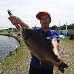 浜名湖フィッシングリゾート 釣果