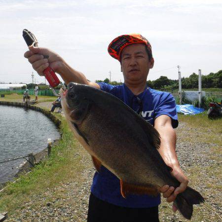 浜名湖フィッシングリゾート 釣果